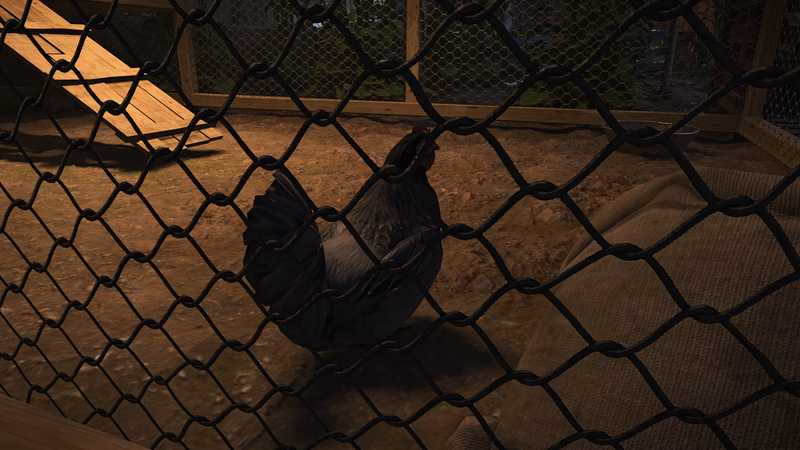 Illustration for article titled My Journey To Photograph All The Wildlife In The Division 2